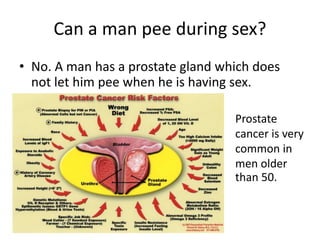 Can a man pee during sex?
• No. A man has a prostate gland which does
not let him pee when he is having sex.
Prostate
cancer is very
common in
men older
than 50.
 