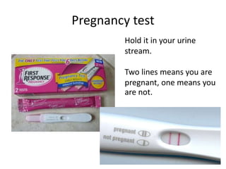 Pregnancy test
Hold it in your urine
stream.
Two lines means you are
pregnant, one means you
are not.
 