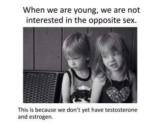 When we are young, we are not
interested in the opposite sex.
This is because we don’t yet have testosterone
and estrogen.
 