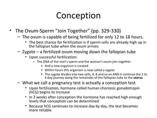Conception The Ovum-Sperm “Join Together” (pp. 329-330) The ovum is capable of being fertilized for only 12 to 18 hours. The best chance for fertilization is if sperm cells are already high up in the fallopian tube when the ovum arrives Zygote – a fertilized ovum moving down the fallopian tube Upon successful fertilization: The DNA of the man’s sperm and the woman’s ovum join together And a new organism is created Within hours this organism is now called a zygote The zygote divides into two cells, 4, 8 and so on AND it continue the 2 to 4 day journey along the remainder of the fallopian tube to the  uterus What we call a pregnancy test is actually a conception test Upon fertilization, hormone called human chorionic gonadotropin (hCG) begins to increase In 2 weeks after conception the hormone has reached high enough levels that conception can be determined Because hCG continues to increase day by day, the test becomes more reliable 