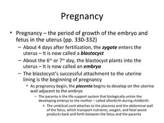 Pregnancy Pregnancy – the period of growth of the embryo and fetus in the uterus (pp. 330-332) About 4 days after fertilization, the  zygote  enters the uterus – It is now called a  blastocyst About the 6 th  or 7 th  day, the blastocyst plants into the uterus – It is now called an  embryo The blastocyst’s successful attachment to the uterine lining is the beginning of pregnancy As pregnancy begin, the  placenta  begins to develop on the uterine wall adjacent to the embryo The pacenta is the life-support system that biologically unties the developing embryo to the mother – called afterbirth during childbirth The umbilical cord attaches to the placenta and the abdominal wall of the fetus, which transport nutrients, oxygen, and fetal waste products back and forth between the fetus and the pacenta  