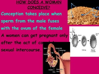 HOW DOES A WOMAN CONCEIVE? Conception takes place when  sperm from the male fuses  with the ovum of the female  A women can get pregnant only  after the act of complete  sexual intercourse. 