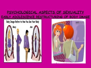 PSYCHOLOGICAL ASPECTS OF SEXUALITY EARLY ADOLESCENCE RESTRUCTURING OF BODY IMAGE 