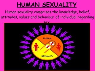 HUMAN SEXUALITY   Human sexuality comprises the knowledge, belief, attitudes, values and behaviour of individual regarding sex.  