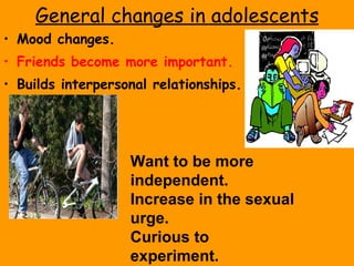 General changes in adolescents Mood changes. Friends become more important. Builds interpersonal relationships.  Want to be more independent. Increase in the sexual urge. Curious to experiment. 