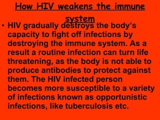 How HIV weakens the immune system HIV gradually destroys the body’s capacity to fight off infections by destroying the immune system. As a result a routine infection can turn life threatening, as the body is not able to produce antibodies to protect against them. The HIV infected person becomes more susceptible to a variety of infections known as opportunistic infections, like tuberculosis etc. 