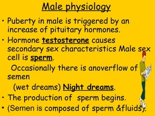 Male physiology Puberty in male is triggered by an increase of pituitary hormones. Hormone  testosterone  causes secondary sex characteristics Male sex cell is  sperm .  Occasionally there is anoverflow of semen (wet dreams)  Night dreams . The production of  sperm begins .  (Semen is  composed of sperm &fluids).  