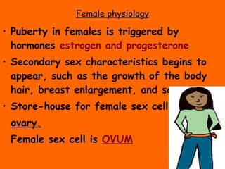 Female physiology Puberty in females is triggered by hormones   estrogen and progesterone . Secondary sex characteristics begins to appear, such as the growth of the body hair, breast enlargement, and so on. Store-house for female sex cell ovary. Female sex cell is   OVUM 