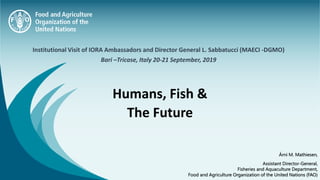 Institutional Visit of IORA Ambassadors and Director General L. Sabbatucci (MAECI -DGMO)
Bari –Tricase, Italy 20-21 September, 2019
Árni M. Mathiesen,
Assistant Director-General,
Fisheries and Aquaculture Department,
Food and Agriculture Organization of the United Nations (FAO)
Humans, Fish &
The Future
 