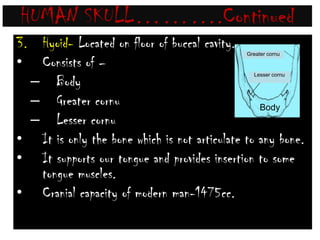 HUMAN SKULL……….ContinuedSensory capsule or Ear ossicle -Consists of 6 small bones, 3 in each ear……….i.e. MIS1 Malleus(M) or Hammer shaped (Modified Articular)1 Incus (I) or Anvil shaped (Modified Quadrate)1 Stapes (S) or Stirrup shaped (Modified Hyomandibular)Note- Joint Between Malleus & Incus – Hinge jointJoint Between Incus & Stapes – Ball and Socket jointStapes is the smallest bone of human body.