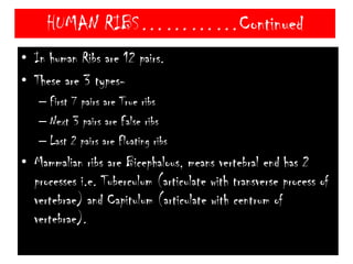 Ist ThoracicvertebraFacet for clavicleProsternumIst Rib2nd RibMesosternumSternumCostal cartilage6thRibMetasternum7th Rib8thRib9th Rib12th Thoracicvertebra10th Rib12th Rib11th RibRib cageHUMAN RIBS