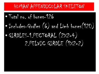 HUMAN STERNUMKnown as Breast bone.Support thorax on ventral side.15 cm long.Consists of 3 parts-Uppermost-ManubriumMiddle-MesosternumLowermost-Xiphisternum (Xiphoid cartilage)