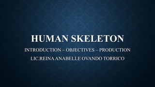 HUMAN SKELETON
INTRODUCTION – OBJECTIVES – PRODUCTION
LIC.REINAANABELLE OVANDO TORRICO
 