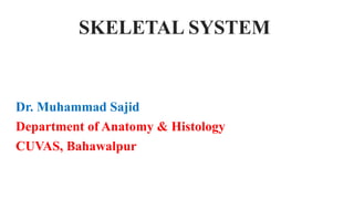SKELETAL SYSTEM
Dr. Muhammad Sajid
Department of Anatomy & Histology
CUVAS, Bahawalpur
 