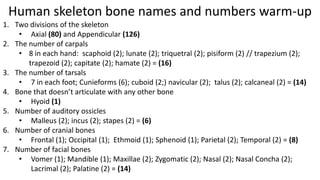 Human skeleton bone names and numbers warm-up
1. Two divisions of the skeleton
• Axial (80) and Appendicular (126)
2. The number of carpals
• 8 in each hand: scaphoid (2); lunate (2); triquetral (2); pisiform (2) // trapezium (2);
trapezoid (2); capitate (2); hamate (2) = (16)
3. The number of tarsals
• 7 in each foot; Cunieforms (6); cuboid (2;) navicular (2); talus (2); calcaneal (2) = (14)
4. Bone that doesn’t articulate with any other bone
• Hyoid (1)
5. Number of auditory ossicles
• Malleus (2); incus (2); stapes (2) = (6)
6. Number of cranial bones
• Frontal (1); Occipital (1); Ethmoid (1); Sphenoid (1); Parietal (2); Temporal (2) = (8)
7. Number of facial bones
• Vomer (1); Mandible (1); Maxillae (2); Zygomatic (2); Nasal (2); Nasal Concha (2);
Lacrimal (2); Palatine (2) = (14)

 
