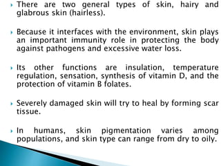  There are two general types of skin, hairy and
glabrous skin (hairless).
 Because it interfaces with the environment, skin plays
an important immunity role in protecting the body
against pathogens and excessive water loss.
 Its other functions are insulation, temperature
regulation, sensation, synthesis of vitamin D, and the
protection of vitamin B folates.
 Severely damaged skin will try to heal by forming scar
tissue.
 In humans, skin pigmentation varies among
populations, and skin type can range from dry to oily.
 