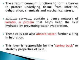 The stratum corneum functions to form a barrier
to protect underlying tissue from infection,
dehydration, chemicals and mechanical stress.
 stratum corneum contain a dense network of
keratin, a protein that helps keep the skin
hydrated by preventing water evaporation.
 These cells can also absorb water, further aiding
in hydration.
 This layer is responsible for the "spring back" or
stretchy properties of skin.
 
