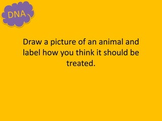 Draw a picture of an animal and
label how you think it should be
treated.
 