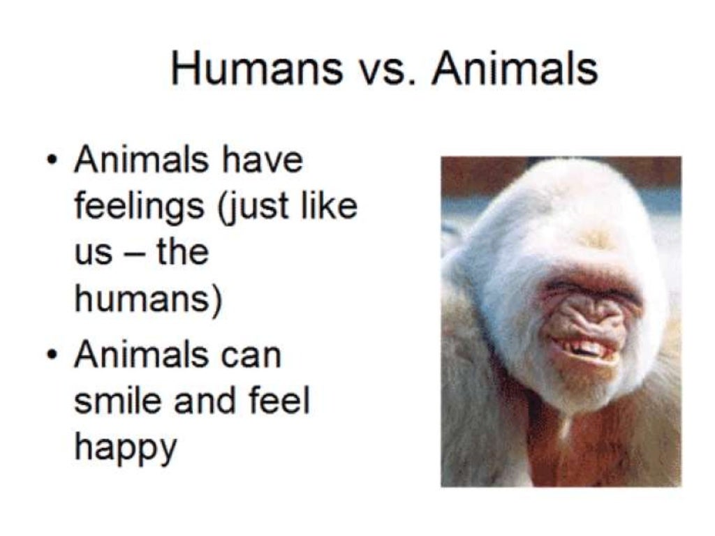 Top 127 Biological Differences Between Humans And Ani vrogue.co
