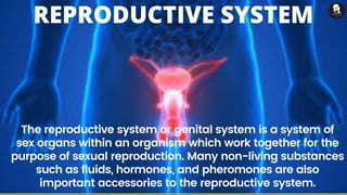 The reproductive system or genital system is a system of
sex organs within an organism which work together for the
purpose of sexual reproduction. Many non-living substances
such as fluids, hormones, and pheromones are also
important accessories to the reproductive system.
REPRODUCTIVE SYSTEM
 