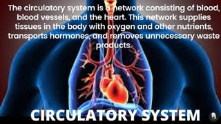 The circulatory system is a network consisting of blood,
blood vessels, and the heart. This network supplies
tissues in the body with oxygen and other nutrients,
transports hormones, and removes unnecessary waste
products.
CIRCULATORY SYSTEM
 