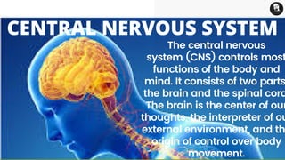 The central nervous
system (CNS) controls most
functions of the body and
mind. It consists of two parts
the brain and the spinal cord
The brain is the center of our
thoughts, the interpreter of ou
external environment, and th
origin of control over body
movement.
CENTRAL NERVOUS SYSTEM
 