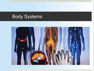 Body Systems
 