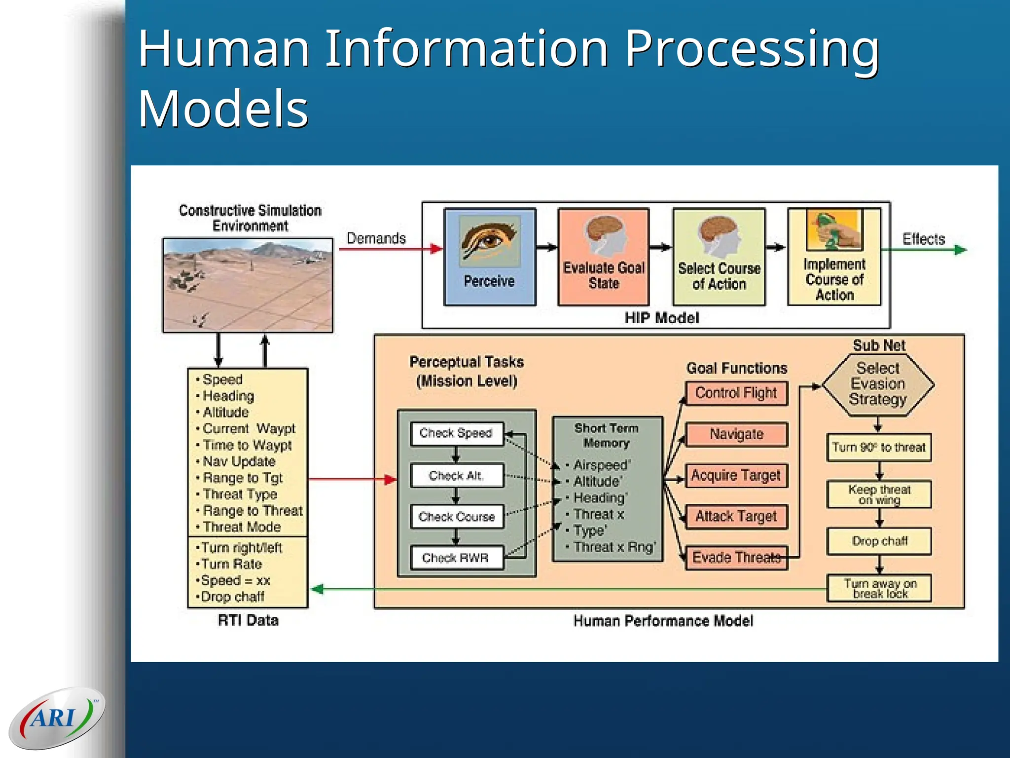 Human Information Processing
Models
 