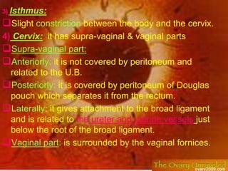 It is a peritoneal fold which transmits the ovarian vessels, nerves & lymphatics to the broad ligament.</li></ul>Mesovariu...