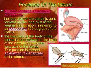 Uterus<br /><ul><li>It is a hollow pear-shaped muscular organ.