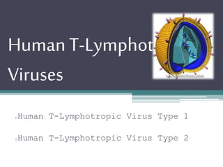 Human T-Lymphotropic
Viruses
oHuman T-Lymphotropic Virus Type 1
oHuman T-Lymphotropic Virus Type 2
 