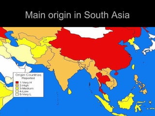 Main origin in South AsiaMain origin in South Asia
 