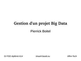 Gestion d'un projet Big Data
Pierrick Boitel
GI FDD diplômé A14 shaarli.bwatt.eu Affini-Tech
 