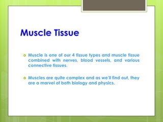 Muscle Tissue
 Muscle is one of our 4 tissue types and muscle tissue
combined with nerves, blood vessels, and various
connective tissues.
 Muscles are quite complex and as we’ll find out, they
are a marvel of both biology and physics.
 