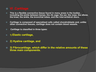  VI .Cartilage
 This is a flexible connective tissue found in many areas in the bodies ,
including the joints between bones, the rib cage, the ear, the nose, the elbow,
the knee, the ankle, the bronchial tubes, and the intervertebral discs.
 Cartilage is composed of specialized cells called chondroblasts and, unlike
other connective tissues, cartilage does not contain blood vessels.
 Cartilage is classified in three types:
 1) Elastic cartilage,
 2) Hyaline cartilage, and
 3) Fibrocartilage, which differ in the relative amounts of these
three main components.
 