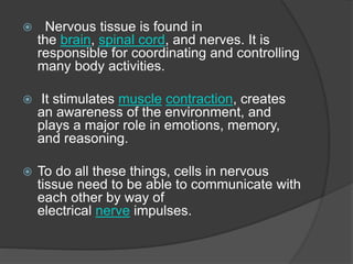  Nervous tissue is found in
the brain, spinal cord, and nerves. It is
responsible for coordinating and controlling
many body activities.
 It stimulates muscle contraction, creates
an awareness of the environment, and
plays a major role in emotions, memory,
and reasoning.
 To do all these things, cells in nervous
tissue need to be able to communicate with
each other by way of
electrical nerve impulses.
 