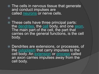  The cells in nervous tissue that generate
and conduct impulses are
called neurons or nerve cells.

 These cells have three principal parts:
the dendrites, the cell body, and one axon.
The main part of the cell, the part that
carries on the general functions, is the cell
body.
 Dendrites are extensions, or processes, of
the cytoplasm that carry impulses to the
cell body. An extension or process called
an axon carries impulses away from the
cell body.
 