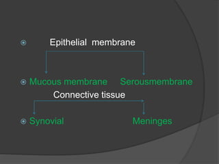  Epithelial membrane
 Mucous membrane Serousmembrane
Connective tissue
 Synovial Meninges
 