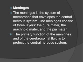  Meninges
 The meninges is the system of
membranes that envelopes the central
nervous system. The meninges consist
of three layers: the dura mater, the
arachnoid mater, and the pia mater.
 The primary function of the meninges
and of the cerebrospinal fluid is to
protect the central nervous system.
 