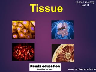 Tissue
Human anatomy
Unit III
www.remixeducation.in
 