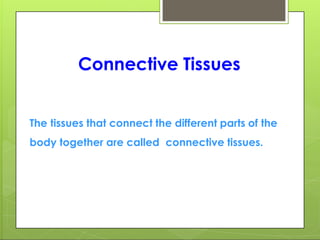 Connective Tissues
The tissues that connect the different parts of the
body together are called connective tissues.
 
