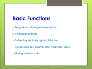 Basic Functions
 Support and binding of other tissues
 Holding body fluids
 Defending the body against infection
 macrophages, plasma cells, mast cells, WBCs
 Storing nutrients as fat
 