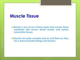 Muscle Tissue
 Muscle is one of our 4 tissue types and muscle tissue
combined with nerves, blood vessels, and various
connective tissues.
 Muscles are quite complex and as we’ll find out, they
are a marvel of both biology and physics.
 
