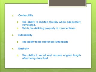 2. Contractility
 The ability to shorten forcibly when adequately
stimulated.
 This is the defining property of muscle tissue.
2. Extensibility
 The ability to be stretched (Extended)
4. Elasticity
 The ability to recoil and resume original length
after being stretched.
 