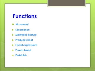Functions
 Movement
 Locomotion
 Maintains posture
 Produces heat
 Facial expressions
 Pumps blood
 Peristalsis
 