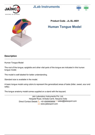 JLab Instruments
Product Code . JL-SL-4601
Human Tongue Model
Description
Human Tongue Model
The root of the tongue, epiglottis and other vital parts of the tongue are indicated in this human
tongue model.
The model is well labeled for better understanding.
Standard size is available in the model.
A basic tongue model using colors to represent the generalized areas of taste (bitter, sweet, sour and
salty).
The tongue anatomy model comes supplied on a stand with the keycard.
Jain Laboratory Instruments Pvt. Ltd,
Hargolal Road, Ambala Cantt, Haryana India
Direct Contact Details +91-8569909696 sales@jlabexport.com
www.jlabexport.com
Powered by TCPDF (www.tcpdf.org)
 