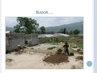 SUDOR….
 