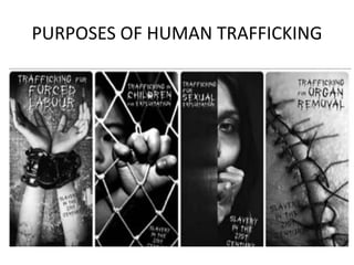 PURPOSES OF HUMAN TRAFFICKING
 