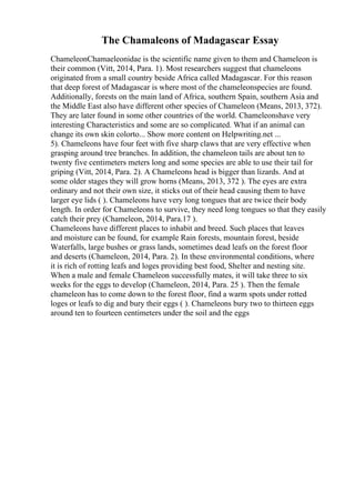The Chamaleons of Madagascar Essay
ChameleonChamaeleonidae is the scientific name given to them and Chameleon is
their common (Vitt, 2014, Para. 1). Most researchers suggest that chameleons
originated from a small country beside Africa called Madagascar. For this reason
that deep forest of Madagascar is where most of the chameleonspecies are found.
Additionally, forests on the main land of Africa, southern Spain, southern Asia and
the Middle East also have different other species of Chameleon (Means, 2013, 372).
They are later found in some other countries of the world. Chameleonshave very
interesting Characteristics and some are so complicated. What if an animal can
change its own skin colorto... Show more content on Helpwriting.net ...
5). Chameleons have four feet with five sharp claws that are very effective when
grasping around tree branches. In addition, the chameleon tails are about ten to
twenty five centimeters meters long and some species are able to use their tail for
griping (Vitt, 2014, Para. 2). A Chameleons head is bigger than lizards. And at
some older stages they will grow horns (Means, 2013, 372 ). The eyes are extra
ordinary and not their own size, it sticks out of their head causing them to have
larger eye lids ( ). Chameleons have very long tongues that are twice their body
length. In order for Chameleons to survive, they need long tongues so that they easily
catch their prey (Chameleon, 2014, Para.17 ).
Chameleons have different places to inhabit and breed. Such places that leaves
and moisture can be found, for example Rain forests, mountain forest, beside
Waterfalls, large bushes or grass lands, sometimes dead leafs on the forest floor
and deserts (Chameleon, 2014, Para. 2). In these environmental conditions, where
it is rich of rotting leafs and loges providing best food, Shelter and nesting site.
When a male and female Chameleon successfully mates, it will take three to six
weeks for the eggs to develop (Chameleon, 2014, Para. 25 ). Then the female
chameleon has to come down to the forest floor, find a warm spots under rotted
loges or leafs to dig and bury their eggs ( ). Chameleons bury two to thirteen eggs
around ten to fourteen centimeters under the soil and the eggs
 