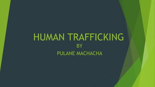 HUMAN TRAFFICKING
BY
PULANE MACHACHA
 